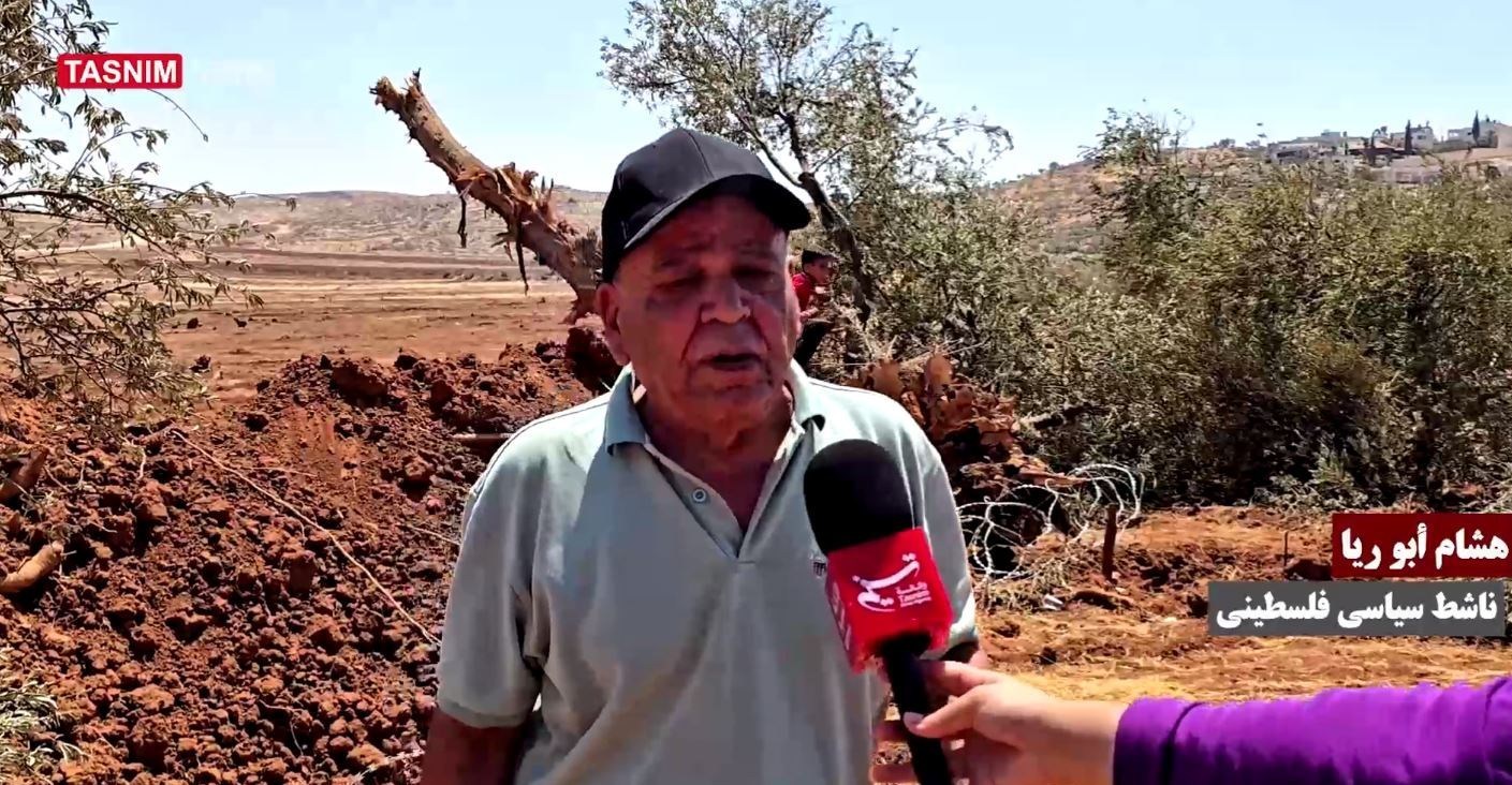 الضفة الغربية , الاحتلال الإسرائيلي , فلسطين , أشجار الزيتون ,