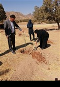 دهمین پویش درختکاری یلدا در پارک حدیله بهاباد برگزار شد