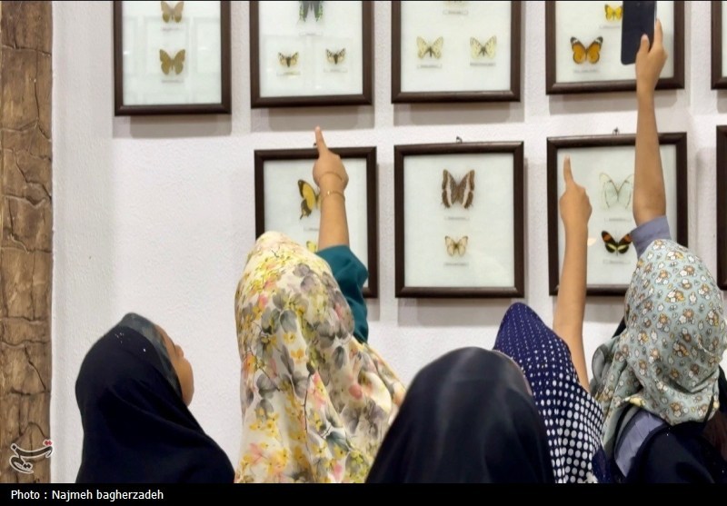 اخبار استان هرمزگان , اخبار بندرعباس , ادبیات کودک , 