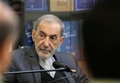ولایتی: آقای الزیدی مشروعیت از خاک نجف و خون شهدا می‌آید
