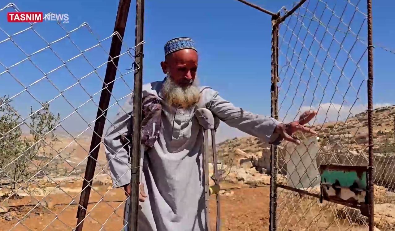 الضفة الغربية , مصادرة الأراضي الفلسطينية , الكيان الإسرائيلي , أشجار الزيتون ,