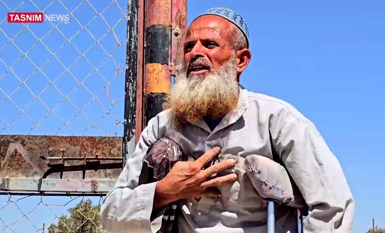 الضفة الغربية , مصادرة الأراضي الفلسطينية , الكيان الإسرائيلي , أشجار الزيتون ,