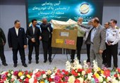 واردات خودروهای کم‌مصرف و هیبریدی اولویت منطقه آزاد سیستان