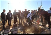 اجرای طرح «500کمربند سبز در 500جاده کشور» در جاده‌های پرتردد مازندران