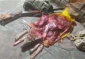 پایان کار شکارچی غیرمجاز در خامین؛  لاشه بز و 15 پرنده کشف شد