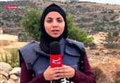 تقریر/ تسنیم.. إسرائیل تجعل من موسم الزیتون حقلاً لاستهداف الفلسطینیین