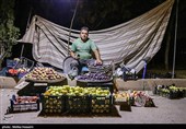 در تکاپوی یک لقمه نان