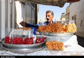 در تکاپوی یک لقمه نان