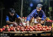 در تکاپوی یک لقمه نان