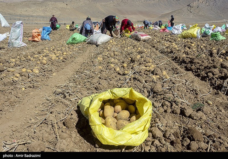 اخبار همدان , اخبار استان همدان ,