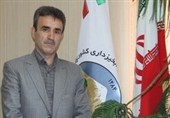 درختکاری پیوند انسان با طبیعت است