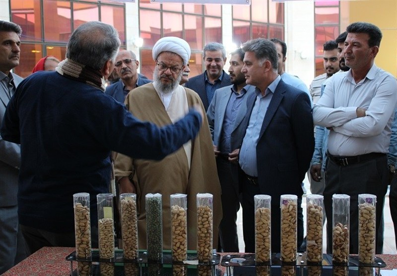 تسنیم , اخبار دامغان , اخبار استان سمنان , کشاورزی , 