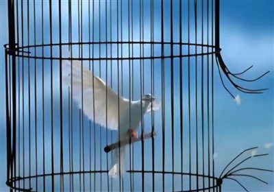 آزادی 13 زندانی زن ندامتگاه فردیس