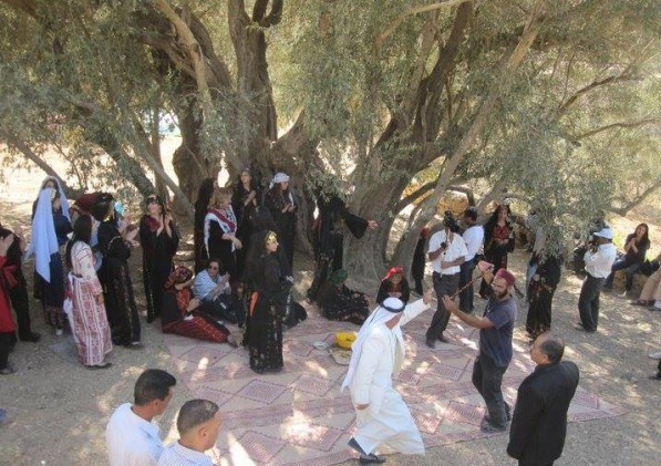 احتلال فلسطین عام 1948 , تشکیلات خودگردان فلسطین , عرفات , أشجار الزیتون , شجرة الزیتون , کرانه باختری , الضفة الغربیة , صهیونیسم , تخریب , بیت المقدس , 