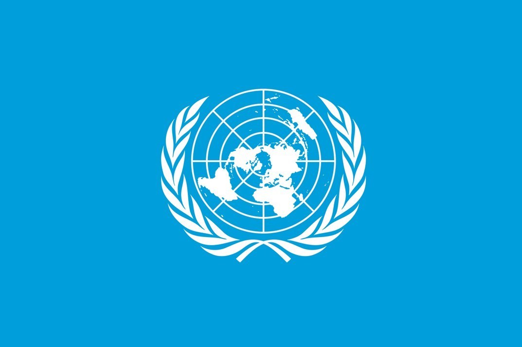 احتلال فلسطین عام 1948 , تشکیلات خودگردان فلسطین , عرفات , أشجار الزیتون , شجرة الزیتون , کرانه باختری , الضفة الغربیة , صهیونیسم , تخریب , بیت المقدس , 