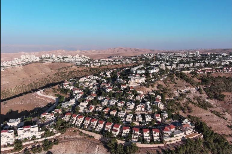 احتلال فلسطین عام 1948 , تشکیلات خودگردان فلسطین , عرفات , أشجار الزیتون , شجرة الزیتون , کرانه باختری , الضفة الغربیة , صهیونیسم , تخریب , بیت المقدس , 