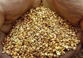 سرقت نیم کیلو طلا با همدستی پسر خانواده/ خرید باغ و زمین با پول دزدی