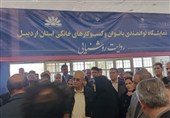 فرصت‌های برابر در حوزه اشتغال بانوان رویکرد دولت چهاردهم است