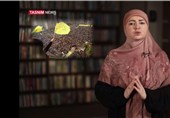 حزب الله... البیئة التی لا تنتهی