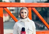 Spokesman Raps Israeli Crimes against Journalists in Palestine