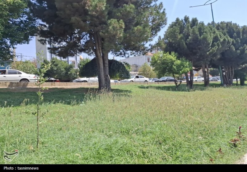اخبار یاسوج , 