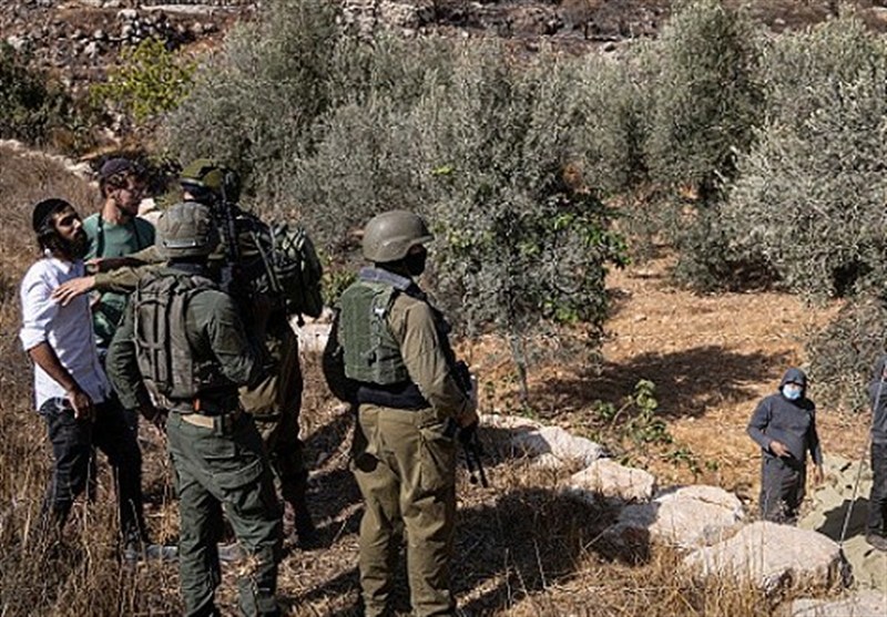עונת מסיק הזיתים רואה עלייה בצווי סגירת שטחי הגדה ובהגבלות על פעילים