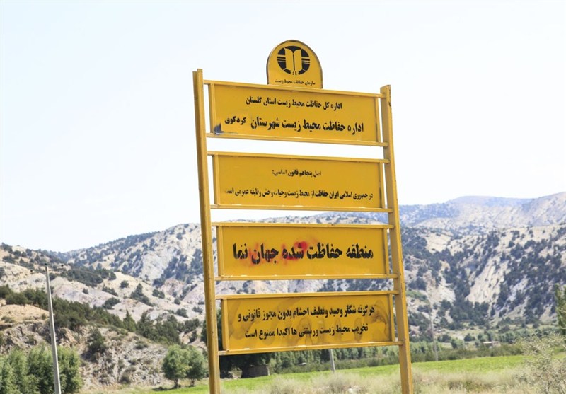 اخبار استان گلستان , نظام مسائل استان گلستان , جنگل های هیرکانی , نظام مسائل استان , 