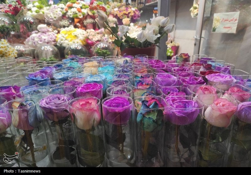 حال و هوای روز مادر در زنجان