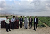 ادامه صادرات محصولات کشاورزی جنوب بوشهر