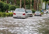 النینو به ستان سمنان می‌رسد؛ کشاورزان و دامداران بیمه را جدی بگیرند