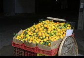 قزوین؛ وقتی پاییز آرام خداحافظی می‌کند