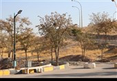 قزوین؛ وقتی پاییز آرام خداحافظی می‌کند