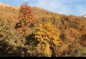 قزوین؛ وقتی پاییز آرام خداحافظی می‌کند