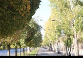 قزوین؛ وقتی پاییز آرام خداحافظی می‌کند