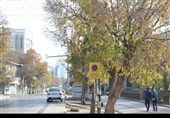 قزوین؛ وقتی پاییز آرام خداحافظی می‌کند