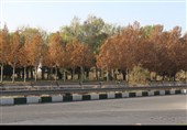 قزوین؛ وقتی پاییز آرام خداحافظی می‌کند