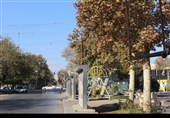 قزوین؛ وقتی پاییز آرام خداحافظی می‌کند