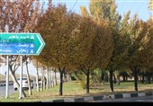 قزوین؛ وقتی پاییز آرام خداحافظی می‌کند