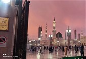 از کوچه بنی‌هاشم تا روضه رضوان؛ روایت یک سفر دانشجویی به مدینه