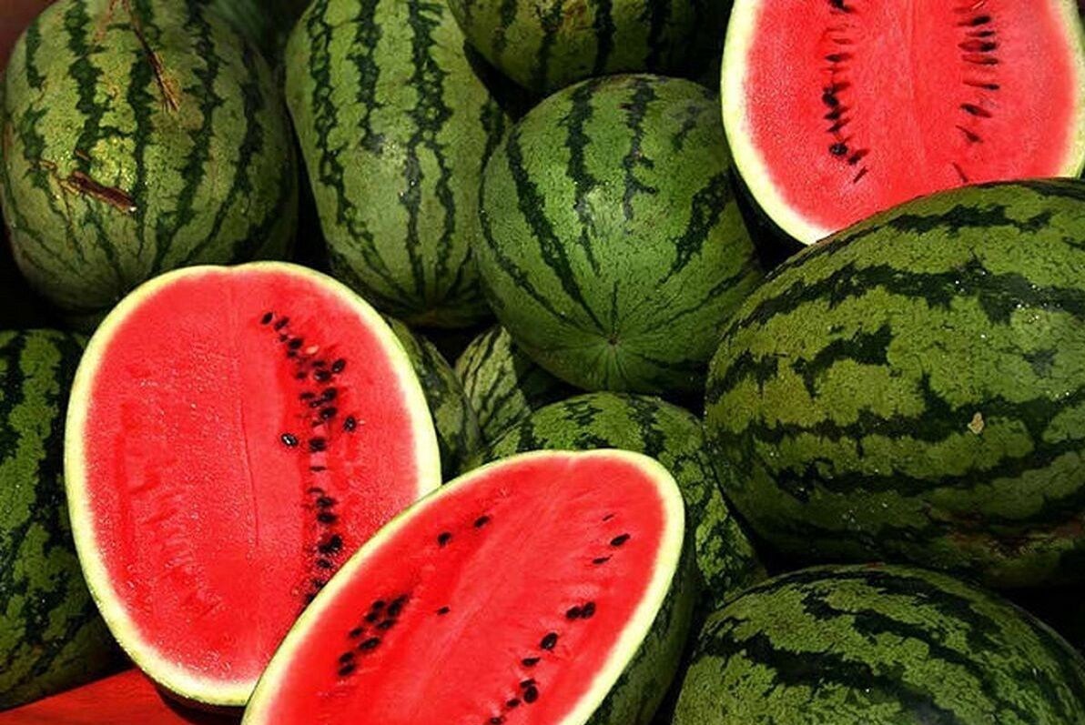 کشور فلسطین , شب یلدا , نقاشی , فرهنگ و هنر در فضای مجازی , نوار غزه , کرانه باختری , 