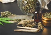 هشدار پلیس اصفهان درباره عادی‌سازی مصرف ماده مخدر گل