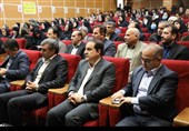 قول استاندار ایلام برای تشکیل کمیته راهبری جهت رفع موانع صنعت فرش