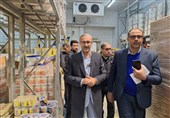 تشکیل پرونده قضایی برای جهاد کشاورزی، صمت و آبفای خراسان جنوبی
