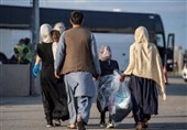 دستگیری 20 تبعه خارجی غیرمجاز در سمنان