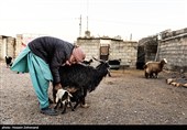 زندگی روز مره در روستای مرزی ملکی در خراسان جنوبی