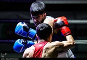 بوکس کردستان بر سکوی نخست کشور؛ فدراسیون هیئت استان را برتر اعلام کرد