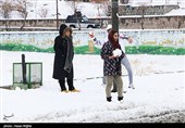 اردبیل زیر چتر برف/کندی تردد در گردنه ها