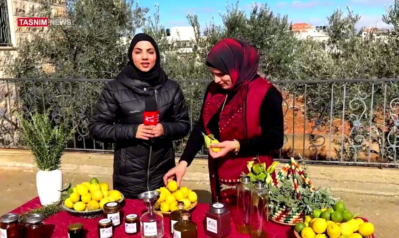 الزراعة , فلسطين , الضفة الغربية , فراولة , 
