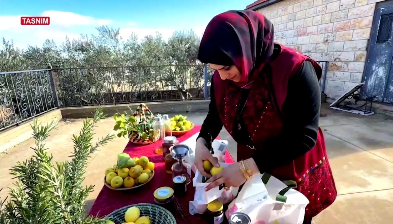 الزراعة , فلسطين , الضفة الغربية , فراولة , 