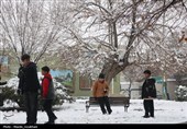 زیر بارش مهر؛ سپیده‌دم شادی در آغوش برف